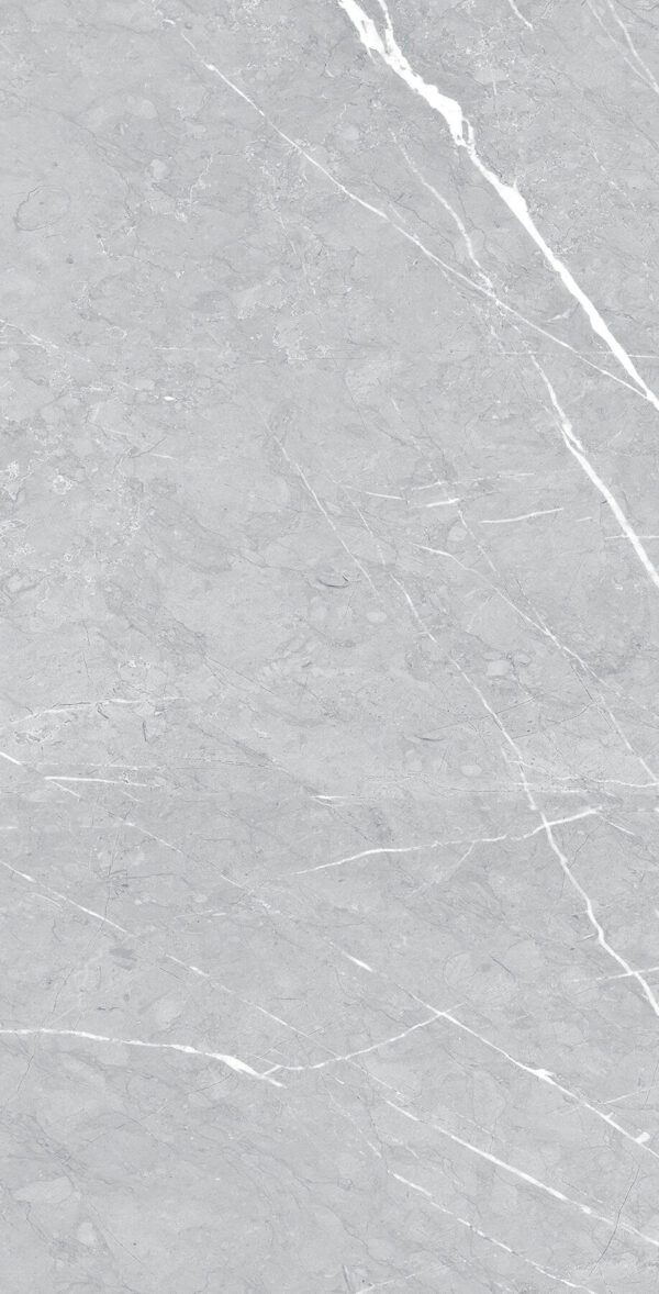 Pietre Lt Grey Matte 12 x 24